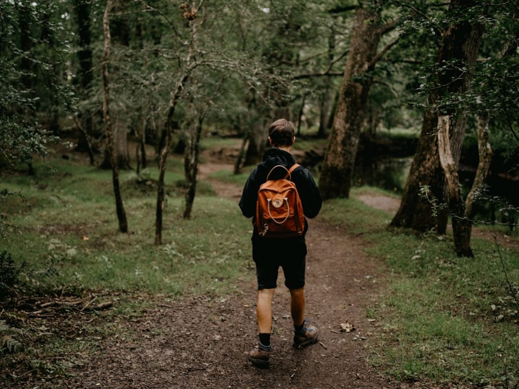 Walks