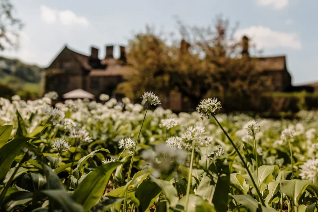 Spring is coming to the table